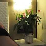 卡米拉别墅酒店 酒店